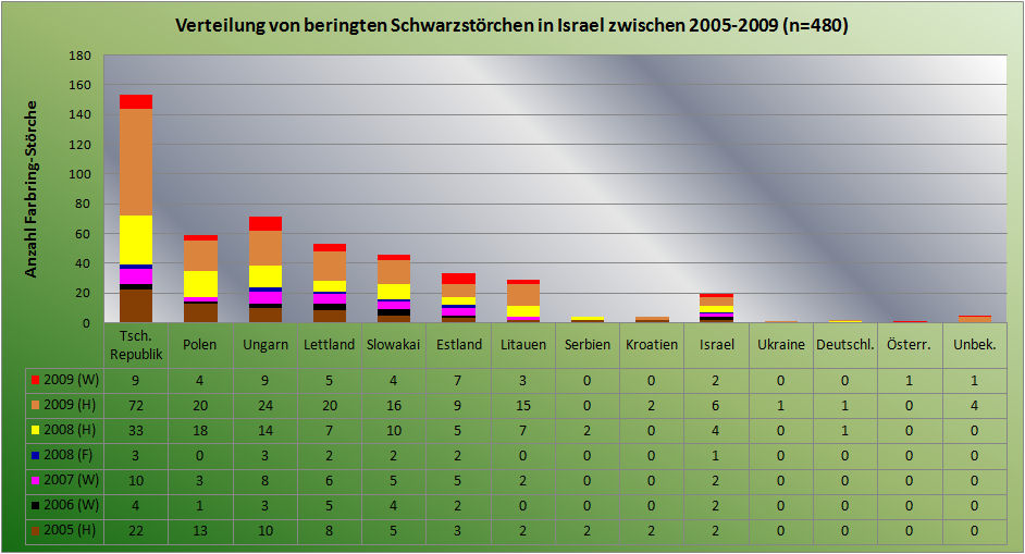 Ringstörche 2005-2009 Israel